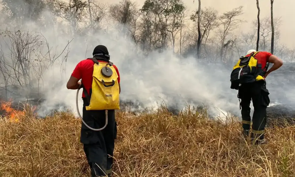 Foto: CMRO / Divulgação - 