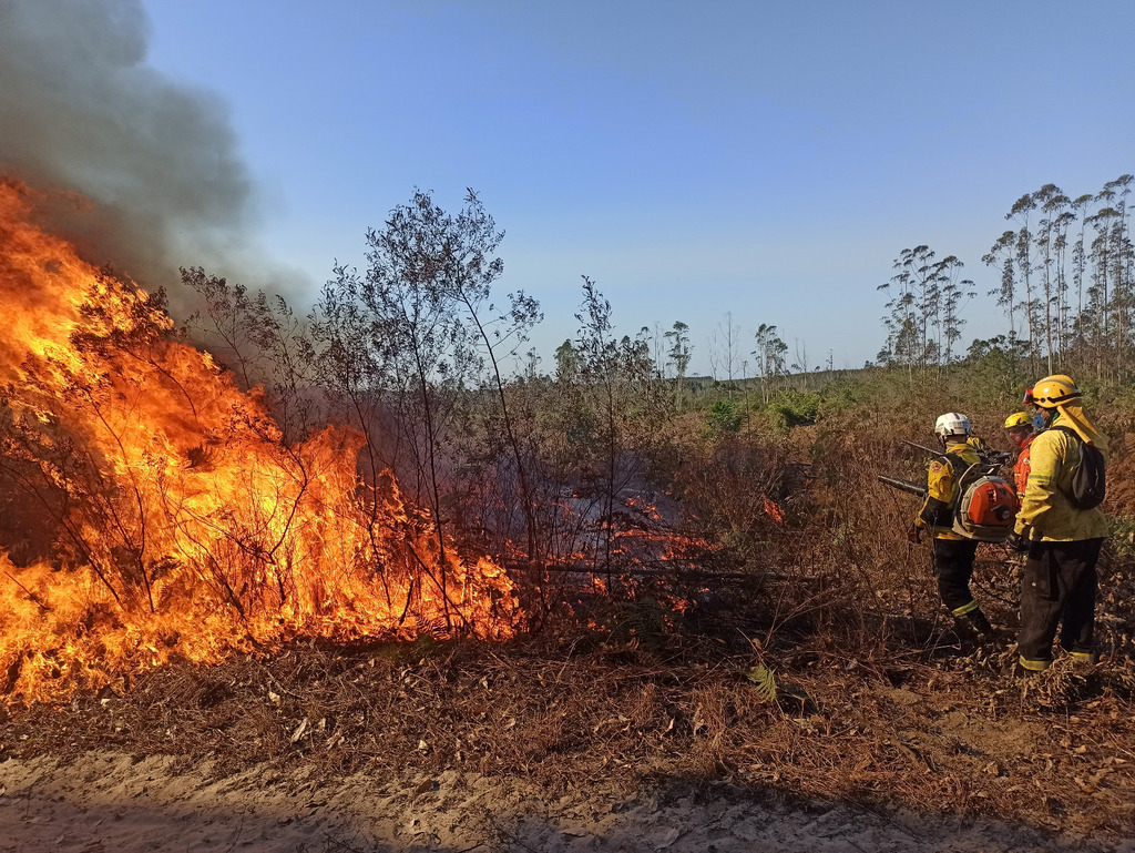 GOVERNO DE SANTA CATARINA ENVIA BOMBEIROS MILITARES PARA APOIAR COMBATE AOS INCÊNDIOS NO MATO GROSSO DO SUL