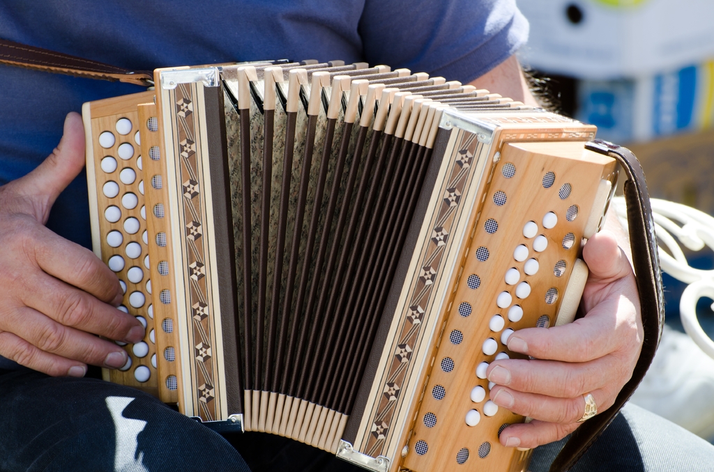 Ilustração/Freepik - O item mais anunciado era o acordeon.