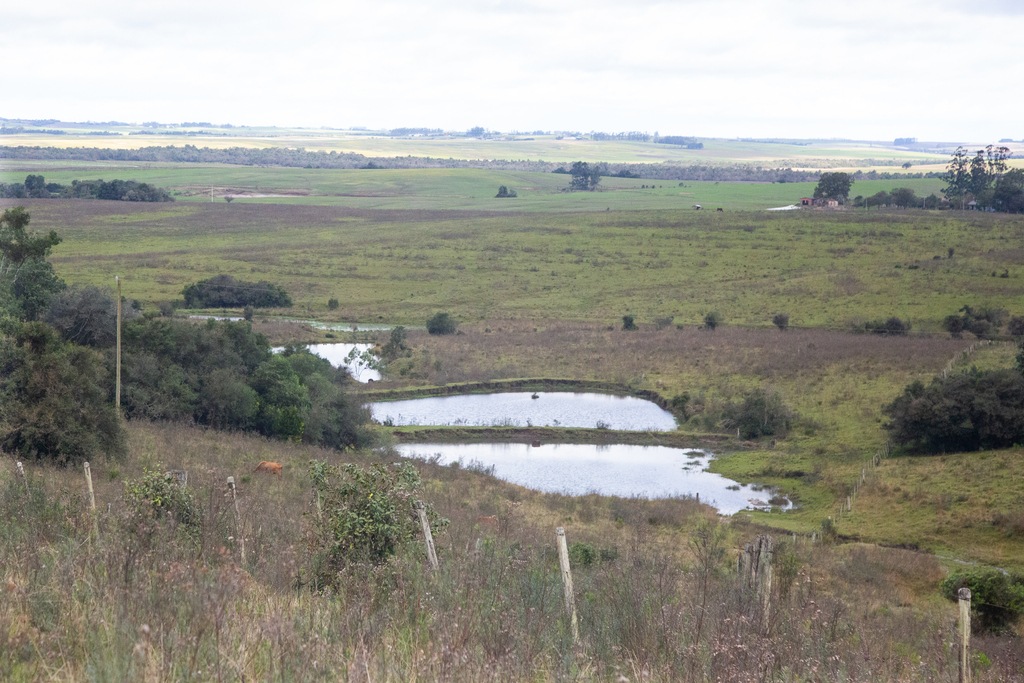 título imagem Declaração do Imposto Territorial Rural deve ser entregue até fim de setembro