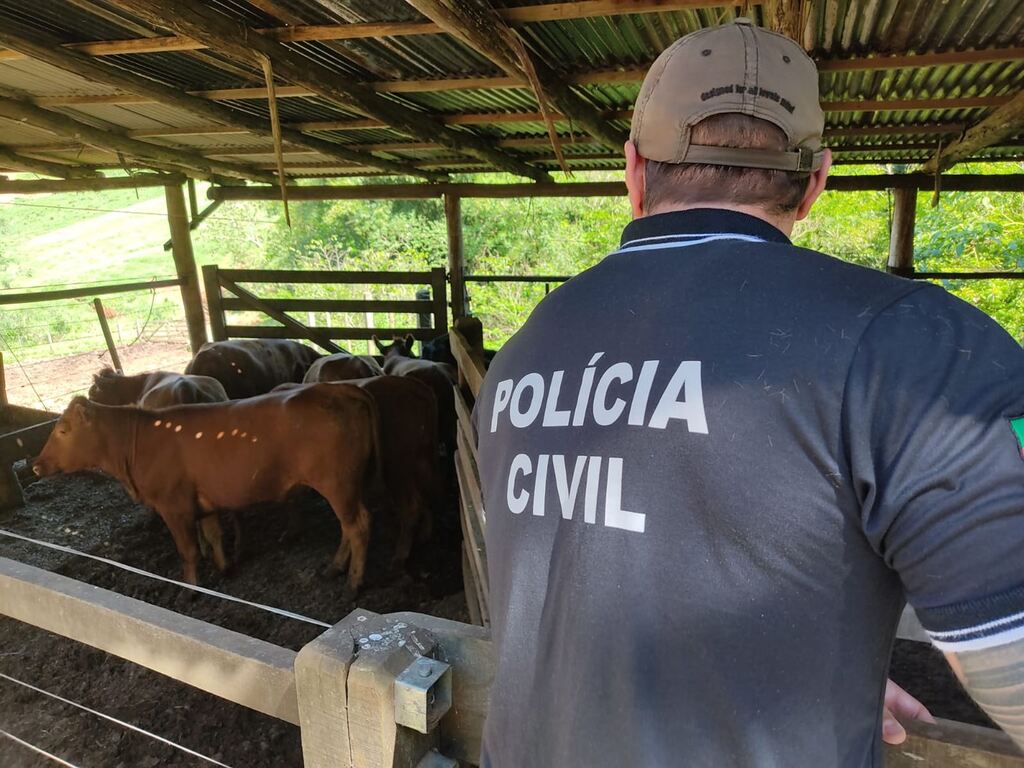 Foto: Polícia Civil (Divulgação) - 