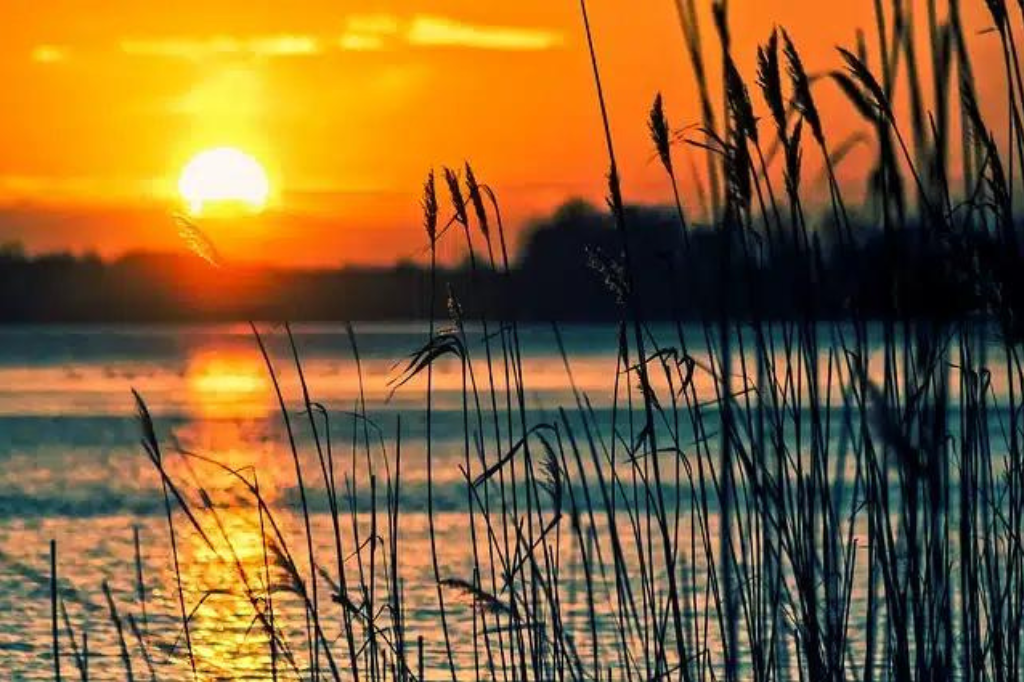 Previsão do Tempo; final de se semana de sol entre nuvens em SC