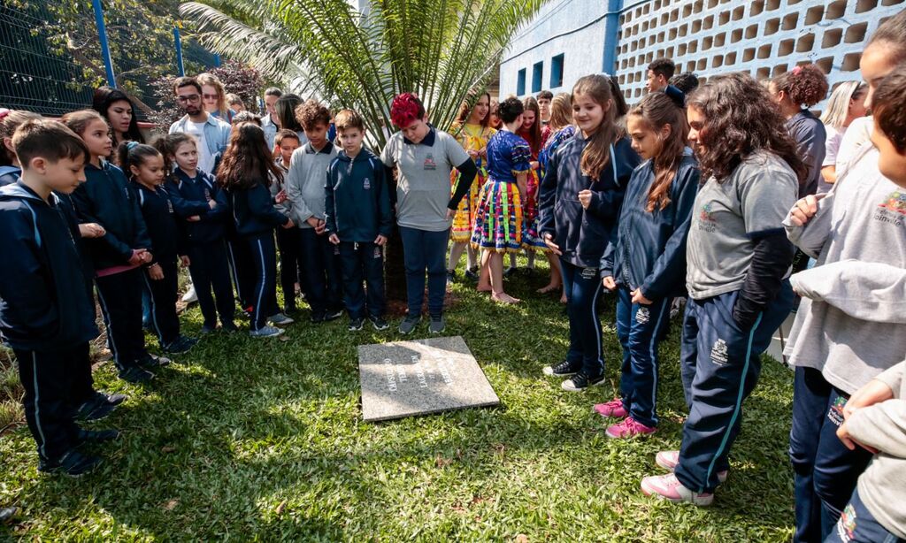 Foto: Prefeitura de Joinville / Divulgação - 