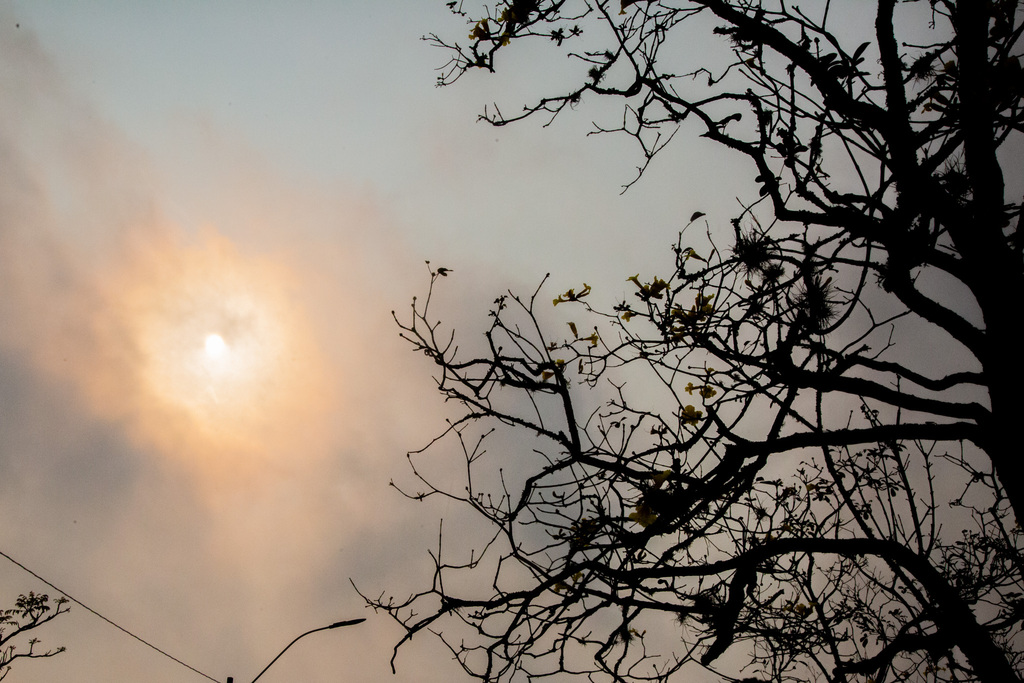 Semana começa com tempo firme e temperaturas amenas; quarta deve ter chuva