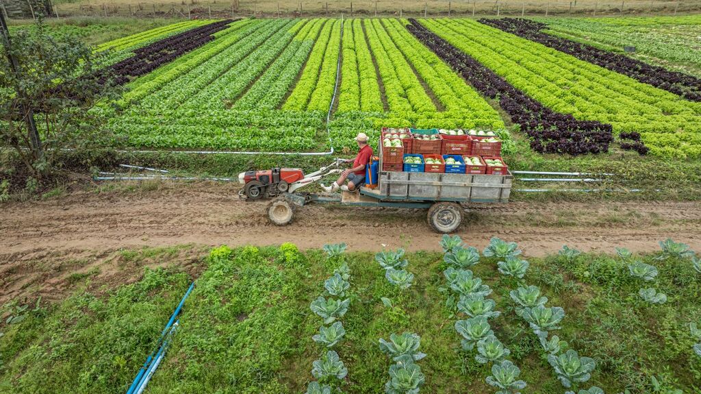 Governo do Estado destina mais de R$ 40 milhões em agosto para projetos de apoio direto aos produtores