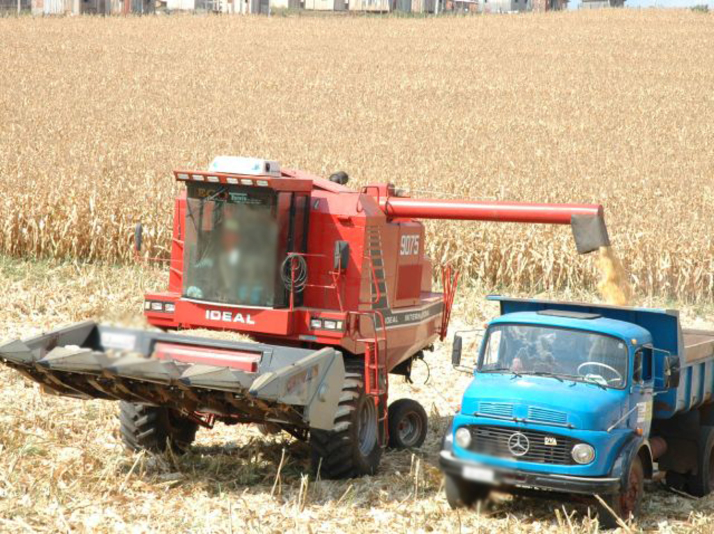 Epagri/Cepa estima aumento na produção das principais culturas agrícolas