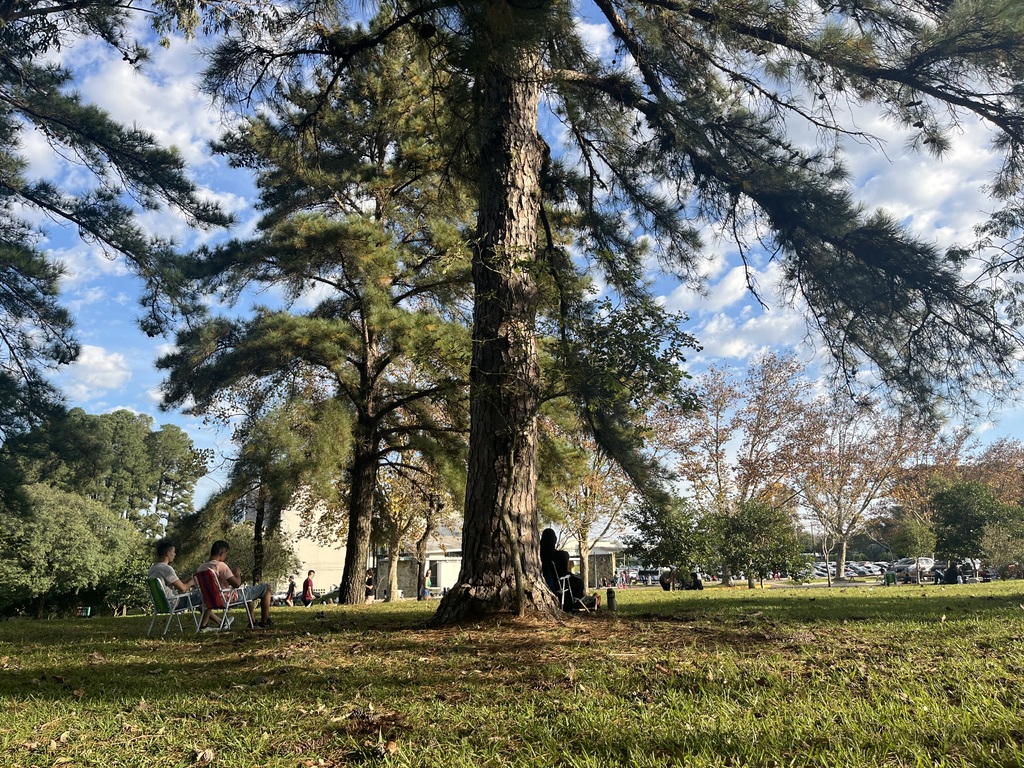 Tempo firme e temperaturas agradáveis; confira a previsão para o fim de semana