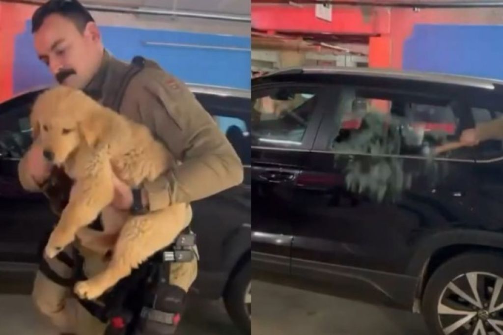 Policial quebra vidro e salva cachorro preso dentro de carro em SC