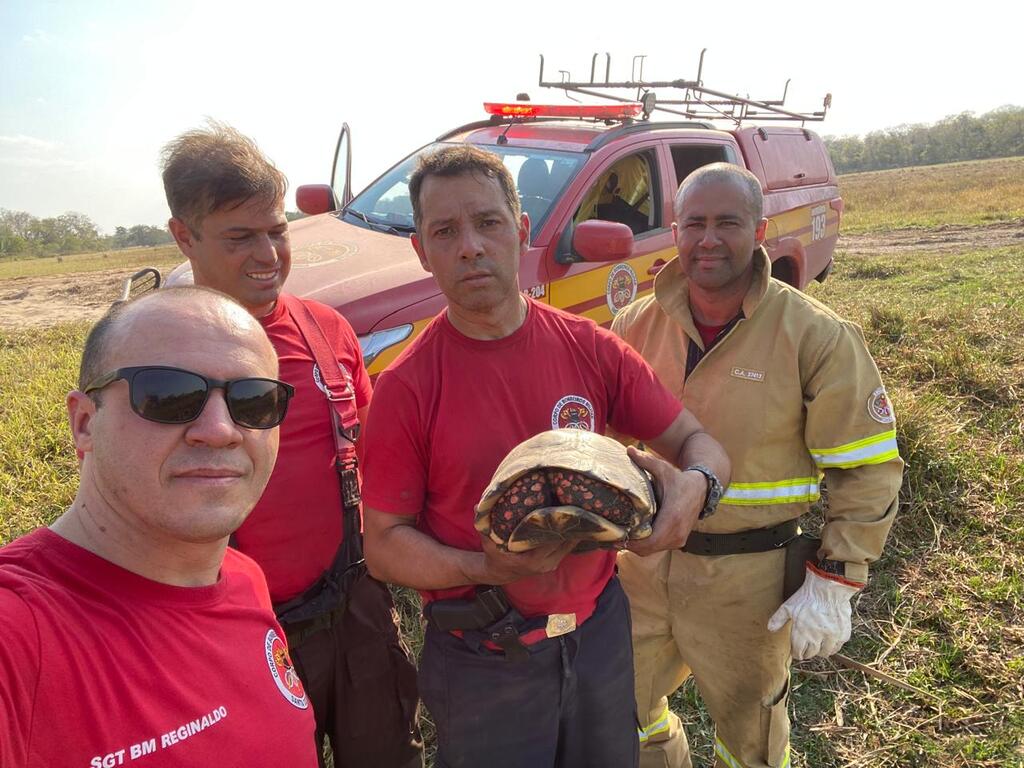 Atuação do Corpo de Bombeiros vai além do combate ao fogo