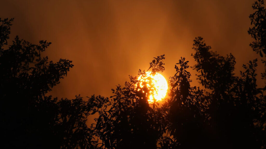 Forte onda de calor e de baixa umidade avança em SC no início da semana