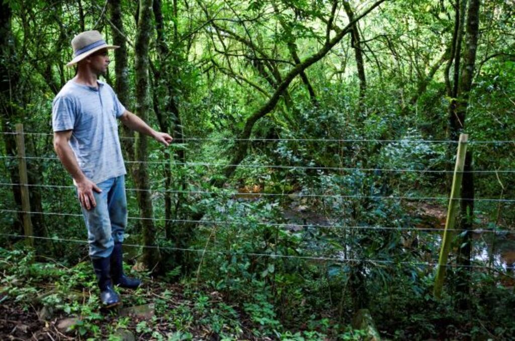 Casan renova convênio para proteção de Mata Ciliar na região Oeste