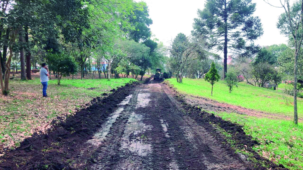 Arboreto Botânico Municipal está sendo revitalizado