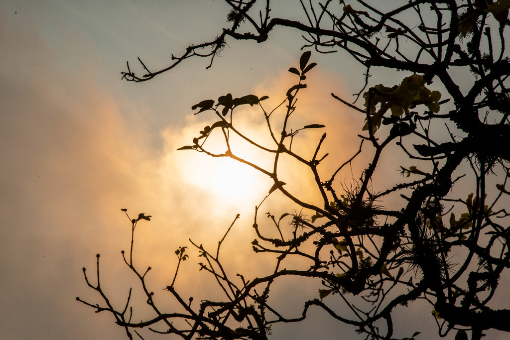 Sol volta a aparecer em Santa Maria; confira a previsão do tempo para este domingo