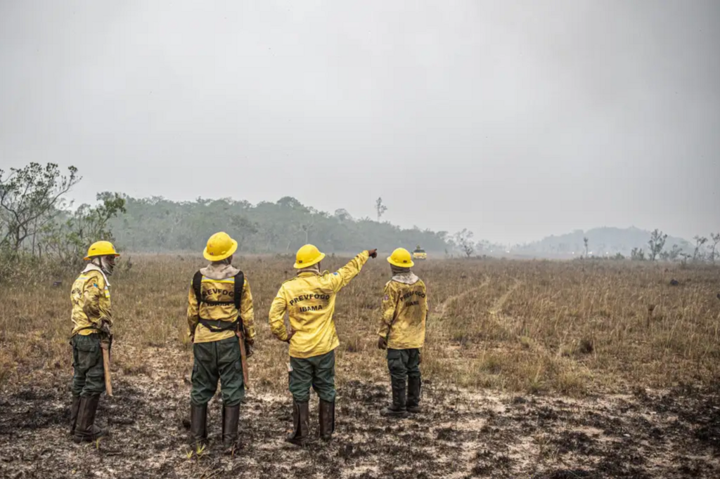 STF estabelece orçamento de emergência para combate a incêndios