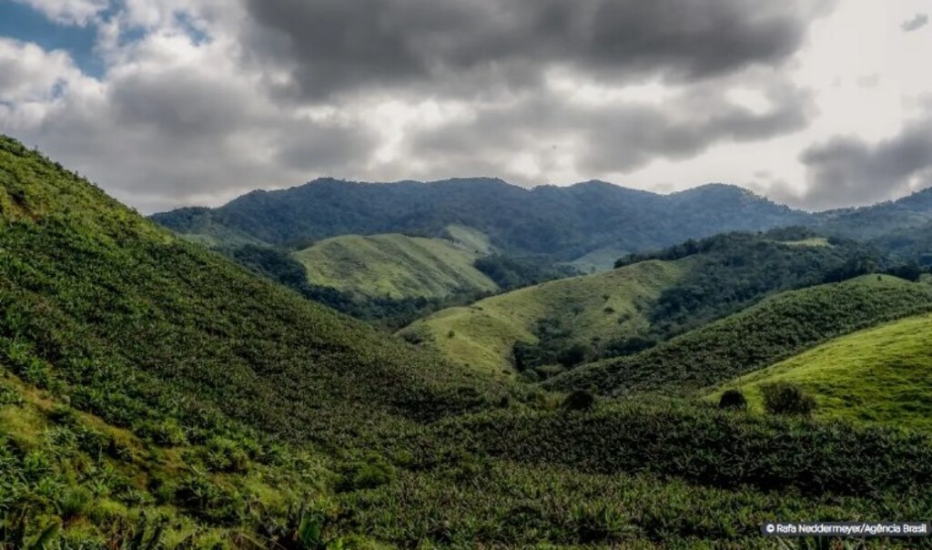 Operação contra o desmatamento da Mata Atlântica começa em 17 estados