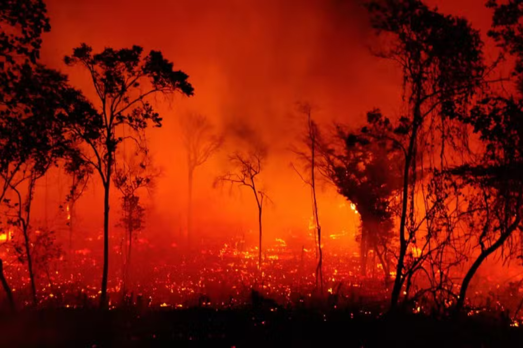 Imagem Queimada no Pantanal - Luiz Fernandes / WWF Agência O Globo - 