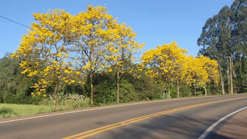 Previsão do tempo: semana de instabilidades e oscilações em Santa Catarina