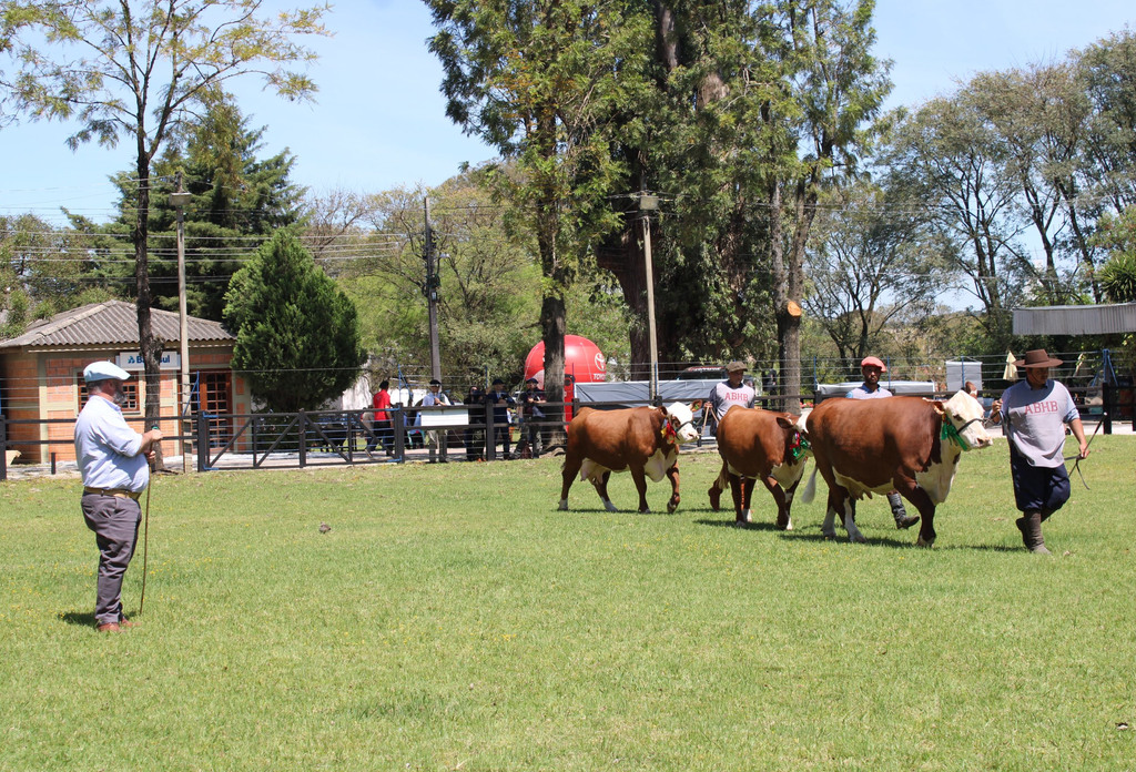 ABHB - Eventos vão movimentar calendário de negócios