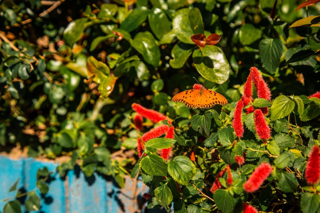 Com início da primavera, fim de semana deve ter tempo firme e temperaturas acima dos 25°C