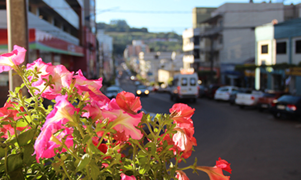  - Estação das flores começa às 9h44 deste domingo