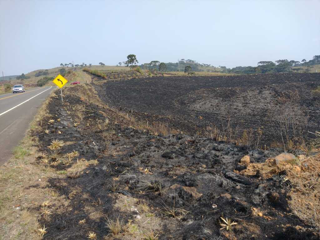 Empresa garante que jamais provocou incêndios em rodovias