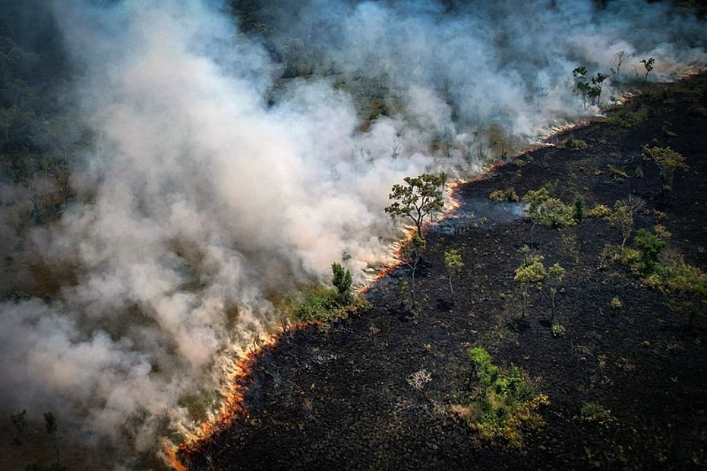 Imagem Douglas Magno/AFP - Amazônia e Pantanal registram 21.289 focos de incêndio em 2024