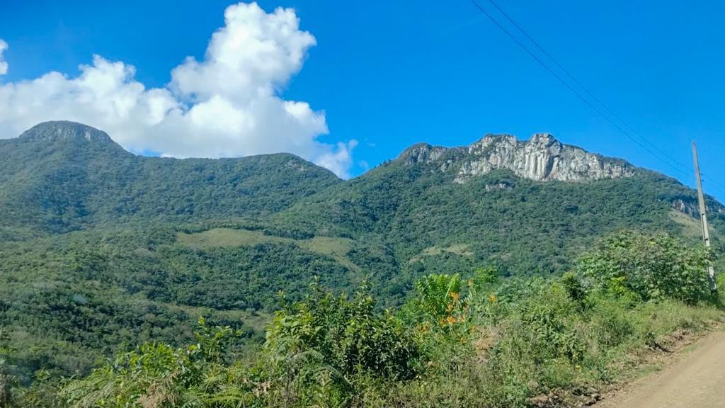 TITULAÇÃO DE TERRITÓRIO QUILOMBOLA EM PRAIA GRANDE AVANÇA COM PUBLICAÇÃO DE DECRETO DE DESAPROPRIAÇÃO
