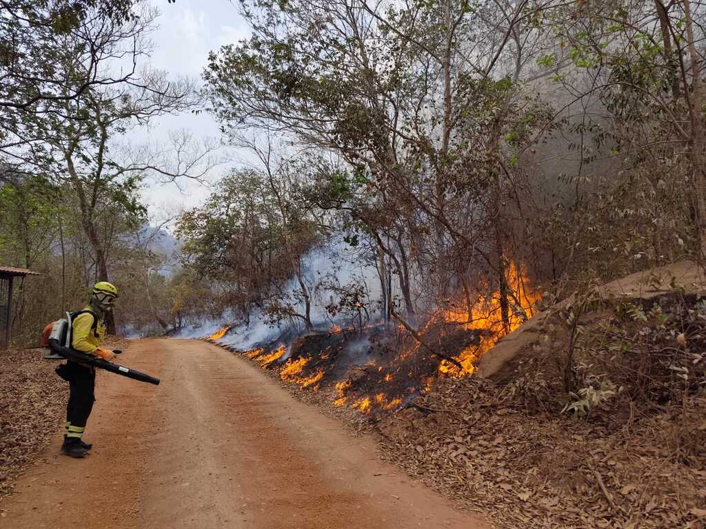 Bombeiros militares de SC atuam no combate às chamas no Mato Grosso