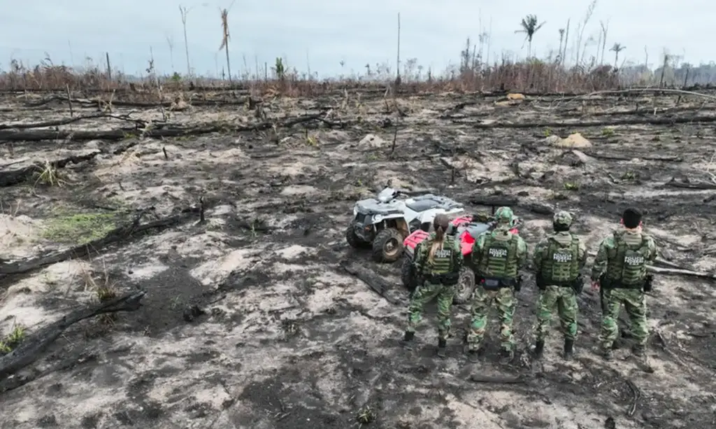 Presos dois suspeitos de provocar incêndios na Amazônia