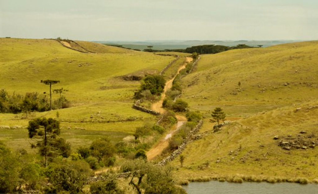 Imagem Artigo Geral Empresas produzem material explicativo sobre autuações do Ibama nos Campos de Lages