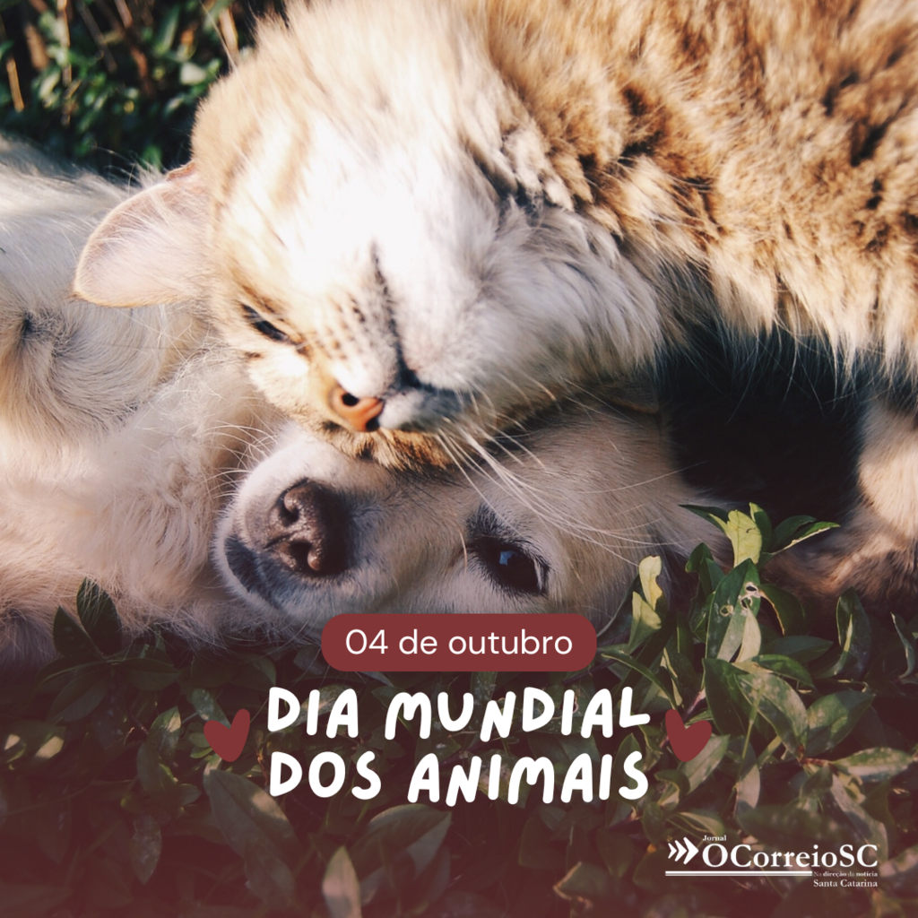 4 de Outubro: Dia Mundial dos Animais - Celebrando a Vida e a Convivência