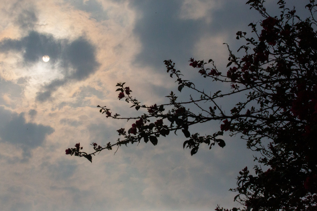 Após semana chuvosa, final de semana pode ter sol e temperaturas mais altas