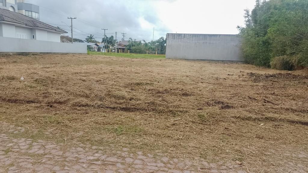VIGILÂNCIA AMBIENTAL DE TORRES INTENSIFICA OPERAÇÃO PARA LIMPEZA DE TERRENOS EM COMBATE À DENGUE