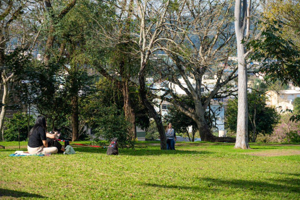 Após semana de tempo instável, sol retorna a Santa Maria neste sábado