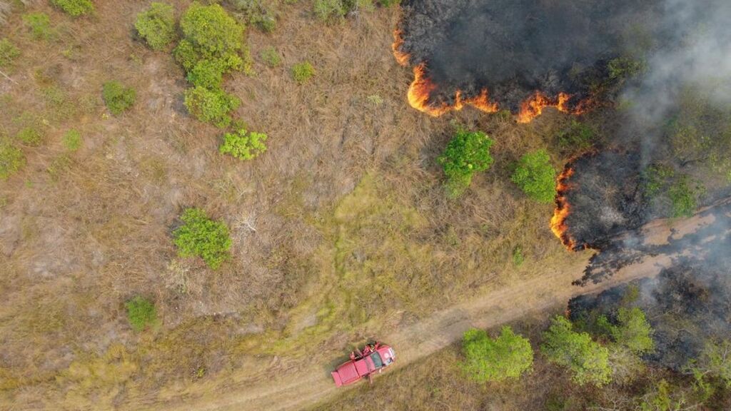 Bombeiros de Santa Catarina intensificam combate a incêndios no Mato Grosso