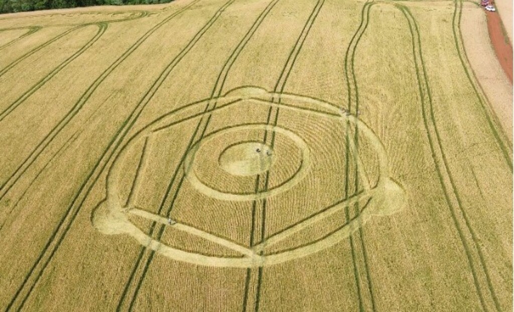 Agroglifos reaparecem em plantação no Oeste de Santa Catarina