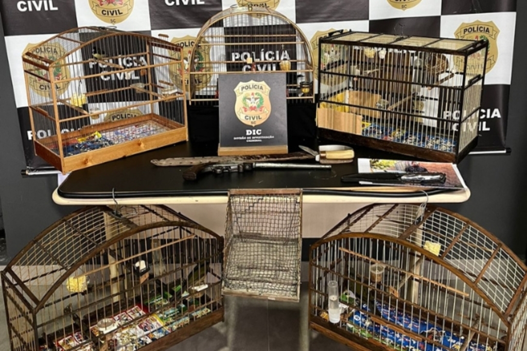 Polícia Civil prende homem por caça ilegal de animais silvestres, em Blumenau