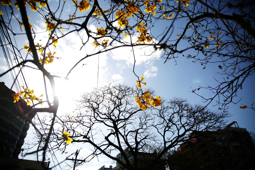 Mesmo com nebulosidade nesta sexta, fim de semana será de tempo firme e temperaturas elevadas