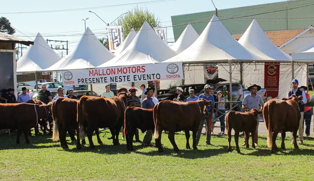 Tradição e inovação marcam a abertura da maior Feira Multissetorial da Serra