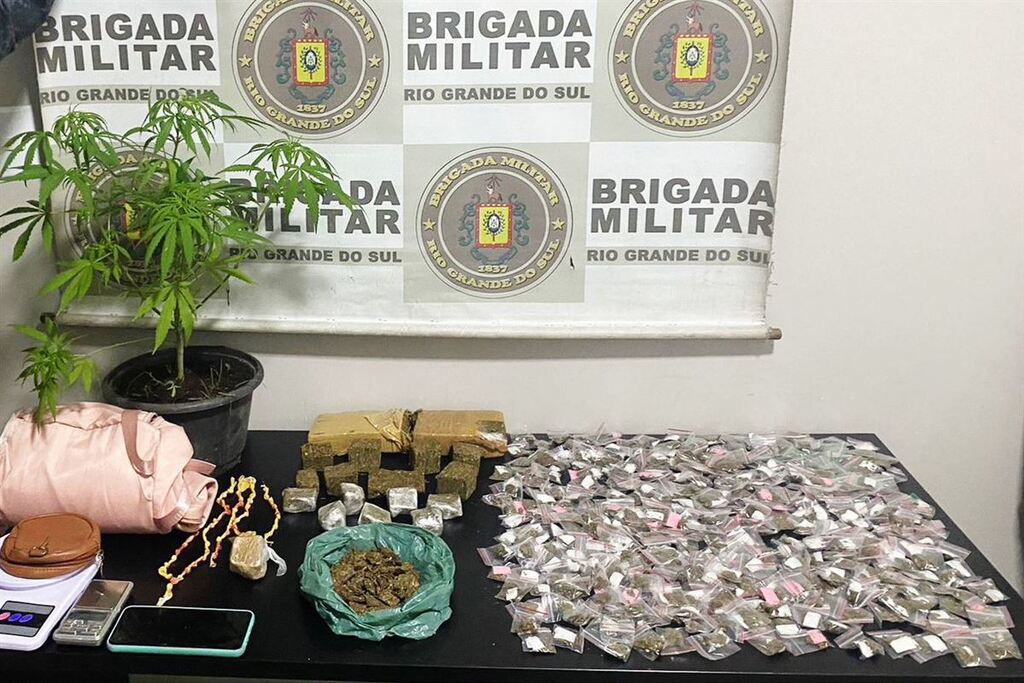 Mulher é presa com 392 porções de drogas e pé de maconha em Santa Maria