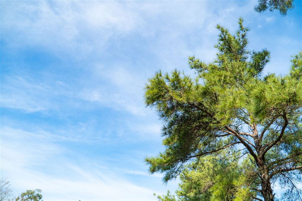 Com máxima acima dos 35°C, Santa Maria registra a maior temperatura desta primavera