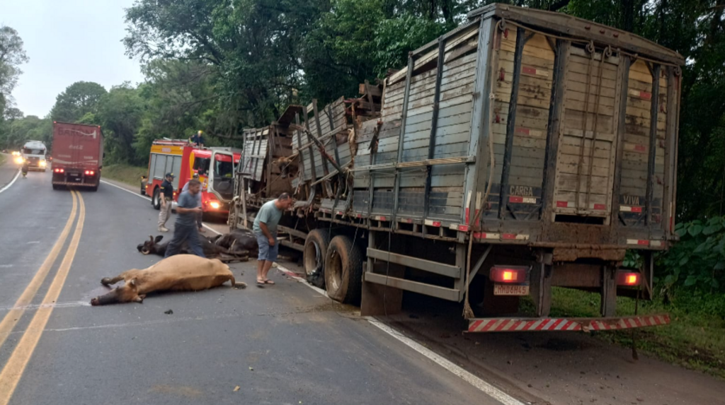  - IMAGENS DIVULGAÇÃO