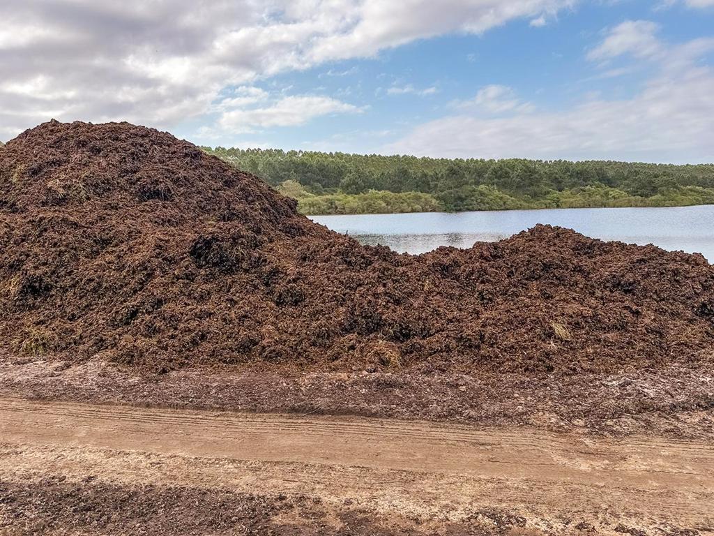 PREFEITURA DE PASSO DE TORRES TRABALHA NA LIMPEZA DA LAGOA DA TAPERA