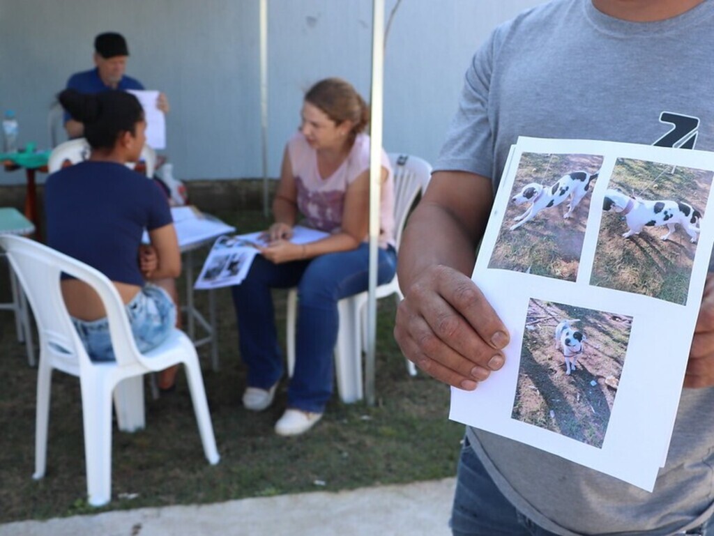 Mutirão de cadastros para castração de cães e gatos ocorre nesta terça-feira em Santa Maria