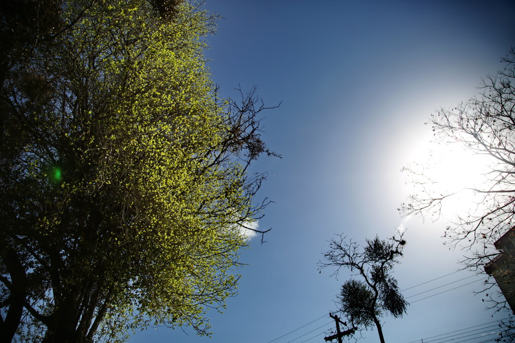 Em mais um dia ensolarado, Santa Maria pode ter máxima de 30°C nesta terça