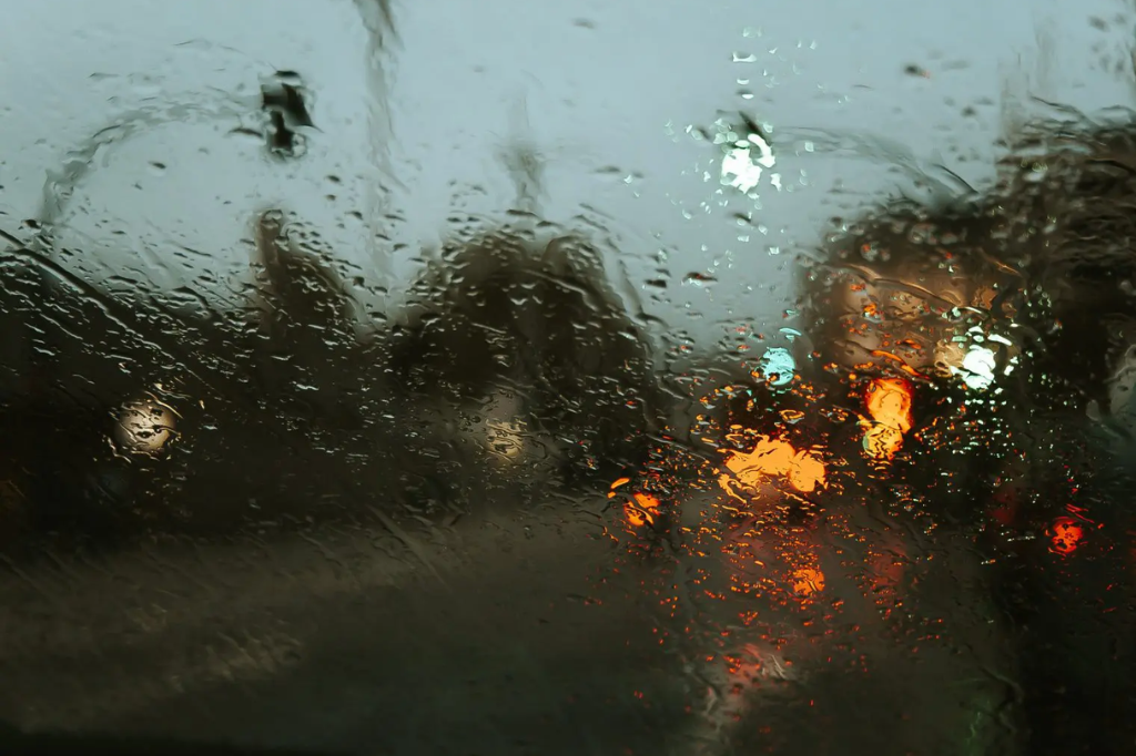 Imagem Ave Calvar Martinez - Previsão do Tempo: chuva persistente nesta quarta e vento intenso nos próximos dias