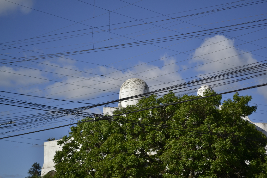 Planos Municipais de Arborização Urbana em pauta na ALRS