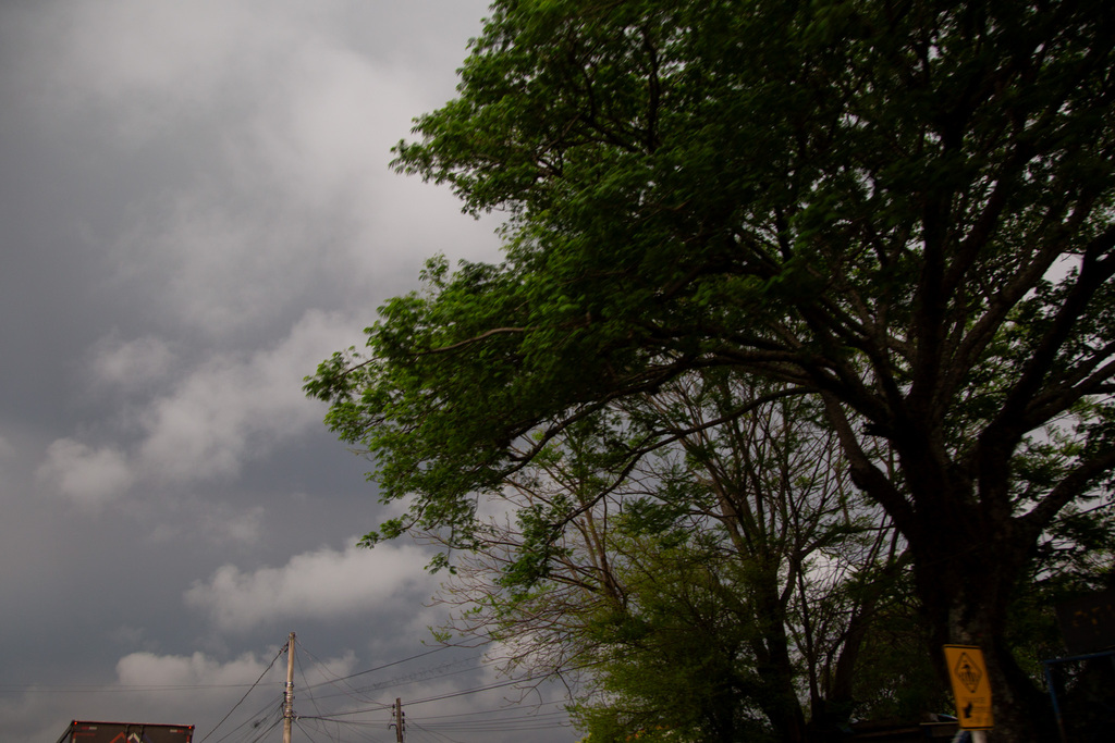 Com umidade elevada e calor, terça-feira pode ser marcada por pancadas de chuva em Santa Maria