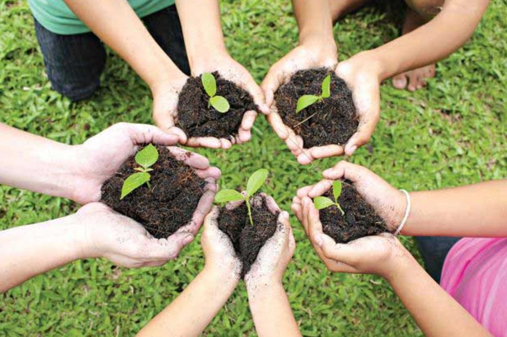 Escola em Imbituba realiza feira de ciências com foco em sustentabilidade