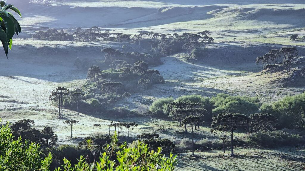 Geada e temperaturas baixas marcam o início do fim de semana em Santa Catarina